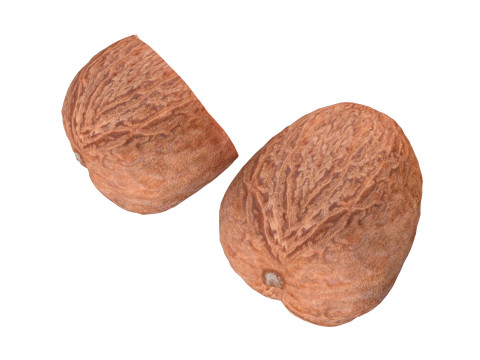 Nutmeg 3D Model