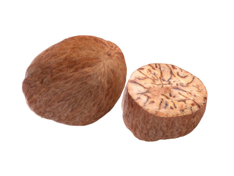 Nutmeg 3D Model