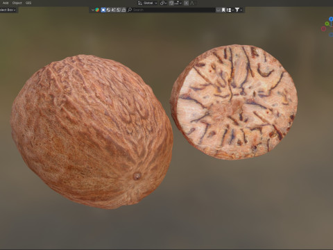 Nutmeg 3D Model