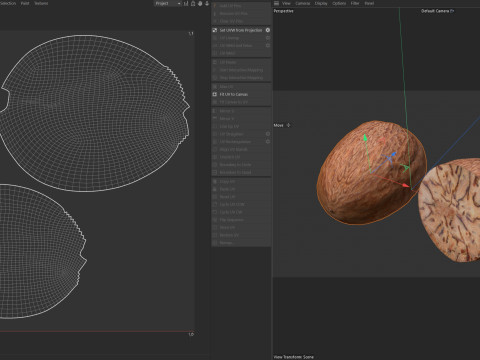Nutmeg 3D Model