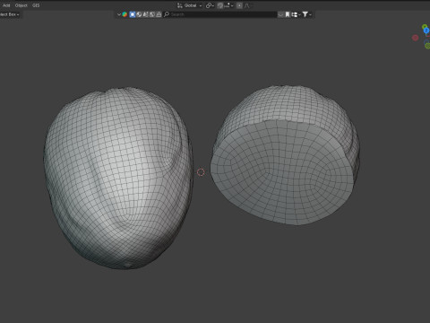 Nutmeg 3D Model