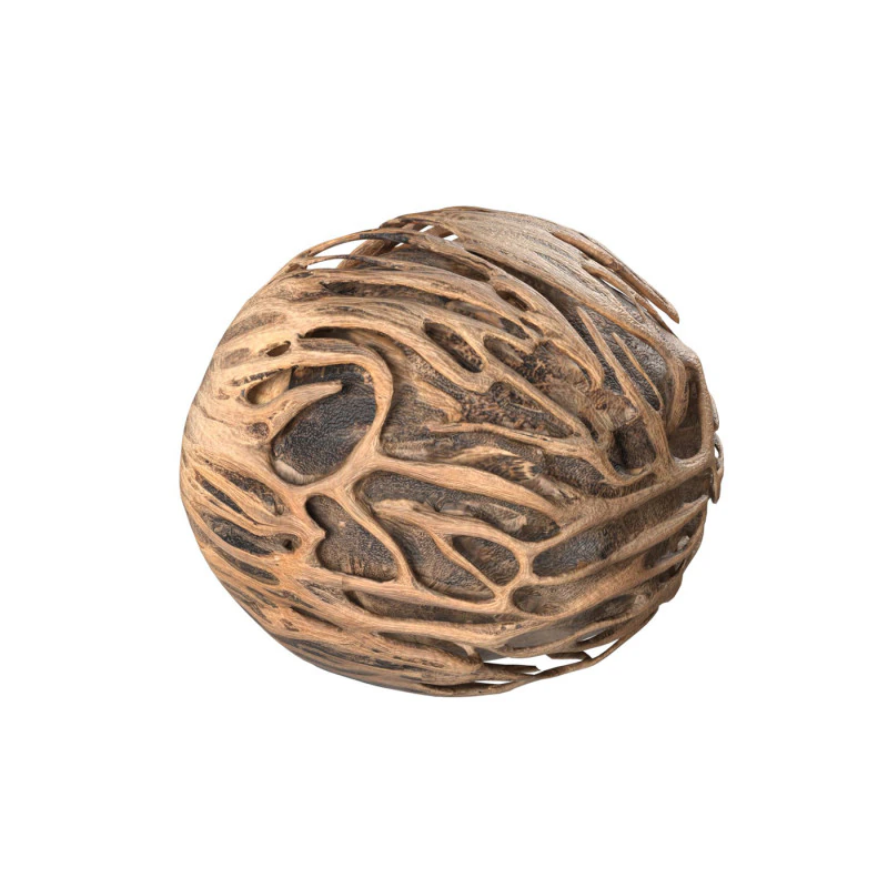 Othalanga Pong Pong Seed 3D Model .c4d .max .obj .3ds .fbx .stl .blend 