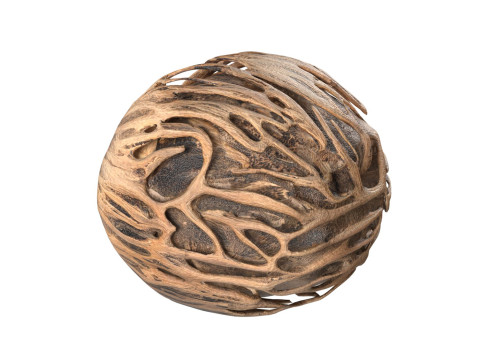 Othalanga Pong Pong Seed 3D मॉडल