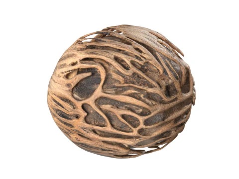 Othalanga Pong Pong Seed 3D Model