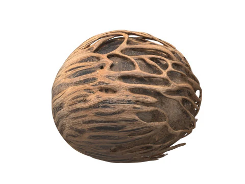 Othalanga Pong Pong Seed 3D Model