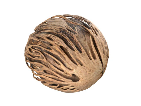 Othalanga Pong Pong Seed 3D Model