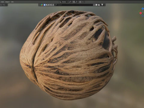 Othalanga Pong Pong Seed 3D Model