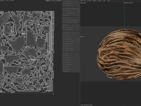 Othalanga Pong Pong Seed Modelo 3D