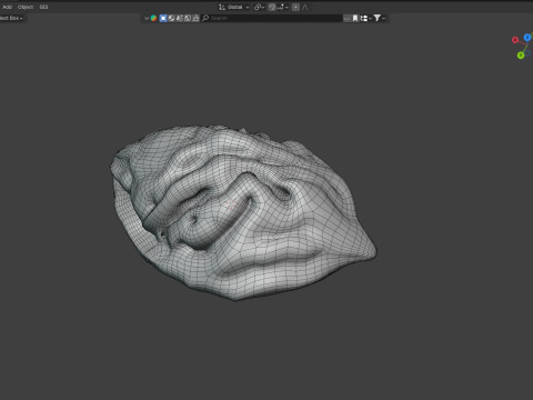 Peach Seed Modello 3D