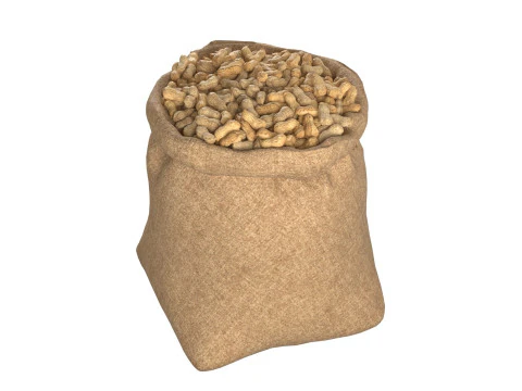 Worek z orzeszkami ziemnymi Model 3D