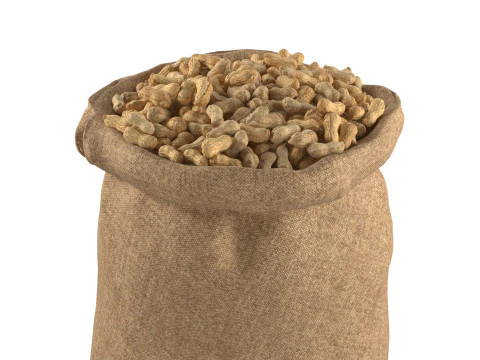 Worek z orzeszkami ziemnymi Model 3D