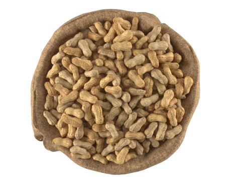 Peanut bag sack 3D 模型