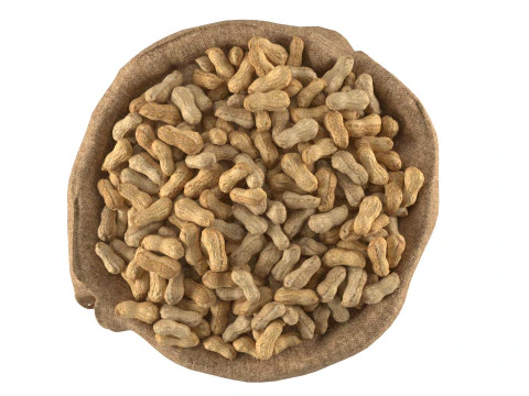 Worek z orzeszkami ziemnymi Model 3D