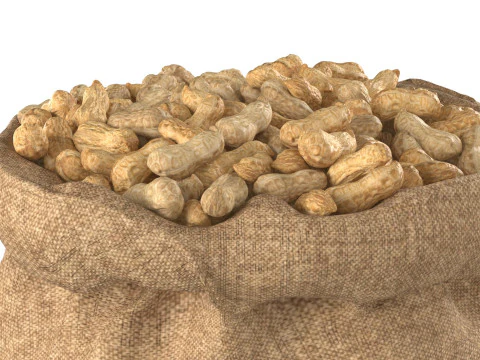 Worek z orzeszkami ziemnymi Model 3D