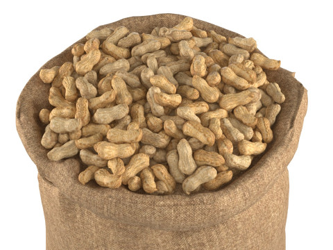 Peanut bag sack 3D 模型