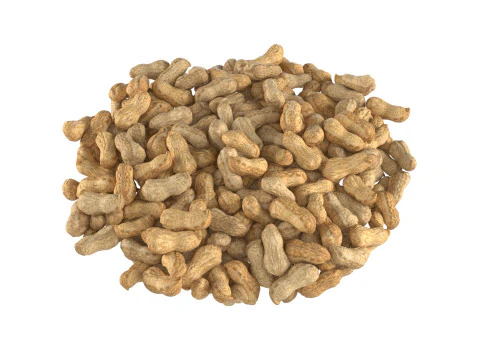 Worek z orzeszkami ziemnymi Model 3D