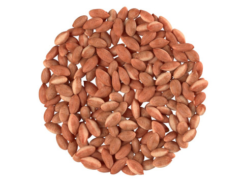 Peanut kernel brown bowl 3D Model