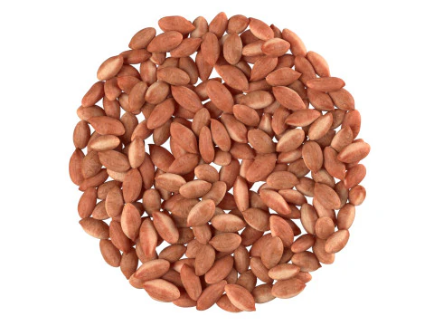 Tigela marrom de caro&ccedil;o de amendoim Modelo 3D