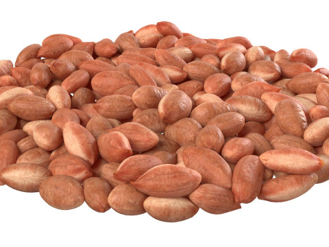 Peanut kernel brown bowl 3D Model