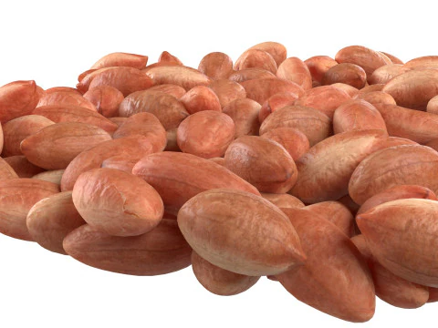 Tigela marrom de caro&ccedil;o de amendoim Modelo 3D