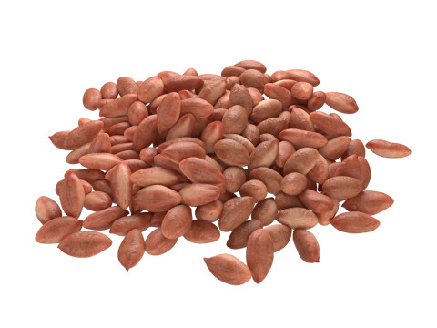 Peanut kernel brown pile 3D मॉडल