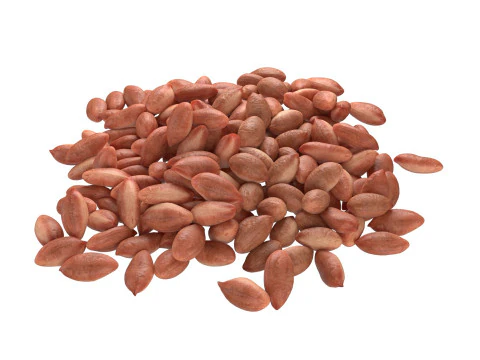 Pilha marrom de caro&ccedil;o de amendoim Modelo 3D