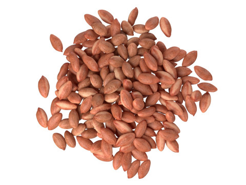 Peanut kernel brown pile 3D Model
