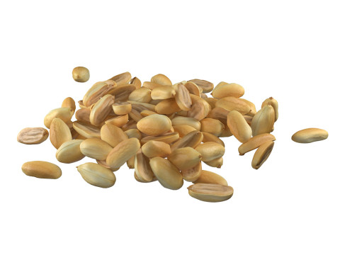 Peanut kernel half and full pile 3D मॉडल