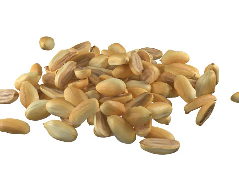 Miolo de amendoim meio e pilha inteira Modelo 3D