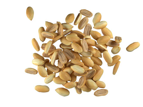 Miolo de amendoim meio e pilha inteira Modelo 3D