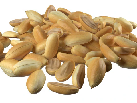 Miolo de amendoim meio e pilha inteira Modelo 3D