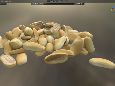 Peanut kernel half and full pile 3D 모델