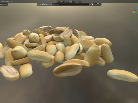 Miolo de amendoim meio e pilha inteira Modelo 3D