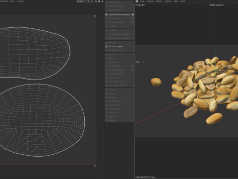 Peanut kernel half and full pile 3D 모델