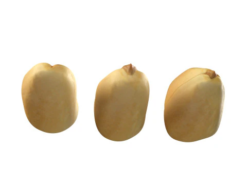 Miolo de amendoim branco Modelo 3D