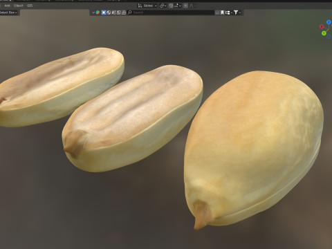 Peanut kernel white 3D Model
