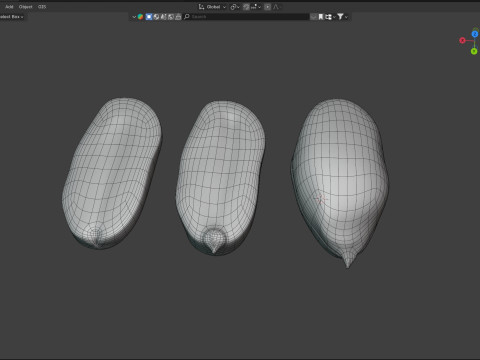 Peanut kernel white 3D Model