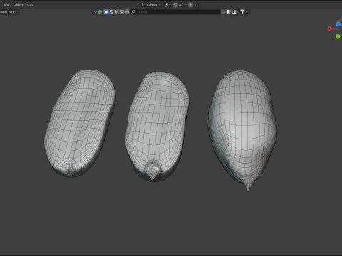 Miolo de amendoim branco Modelo 3D