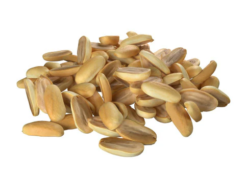 땅콩 커널 흰색 반 더미 3D 모델