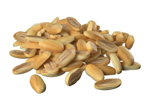 Peanut kernel white half pile 3D Model