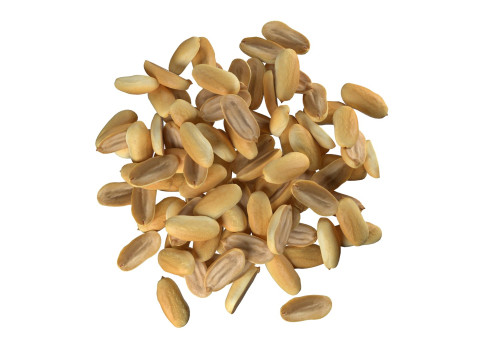 Peanut kernel white half pile 3D Model