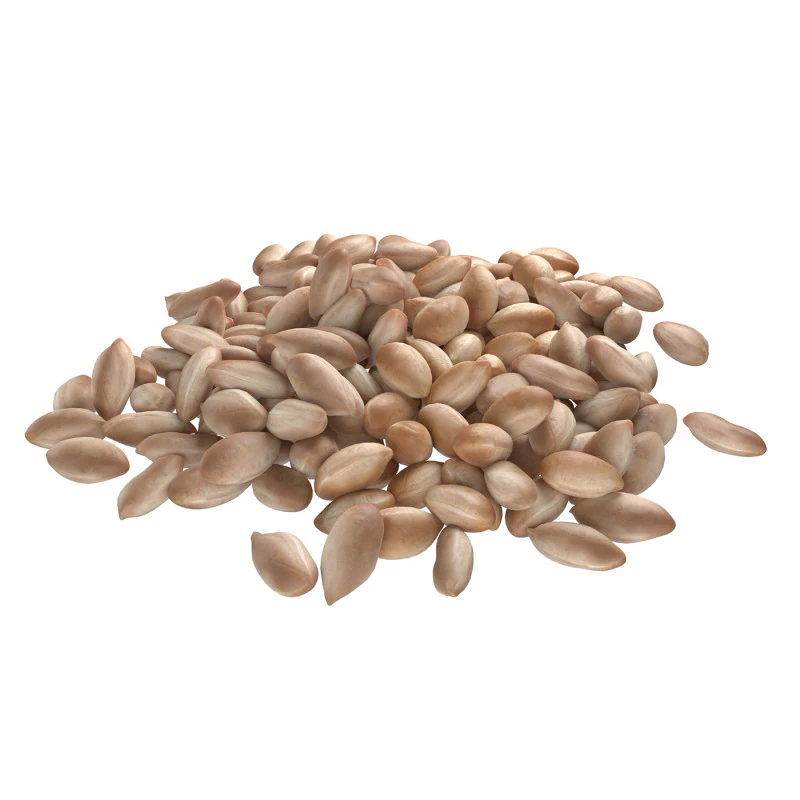 Peanut kernel white pile 3D Model .c4d .max .obj .3ds .fbx .stl .blend 