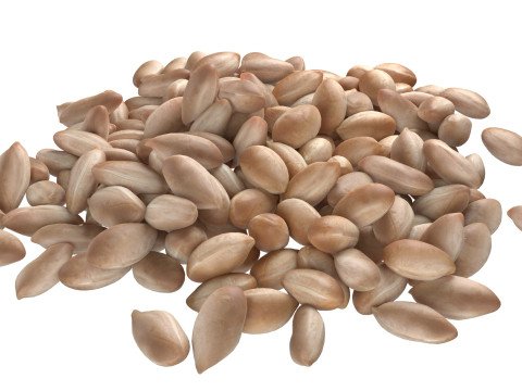 Peanut kernel white pile Modelo 3D