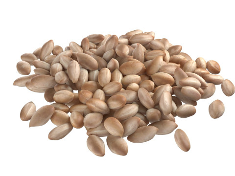 Peanut kernel white pile Modelo 3D
