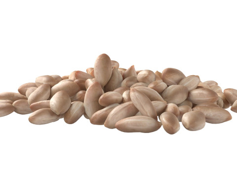 Peanut kernel white pile Modelo 3D