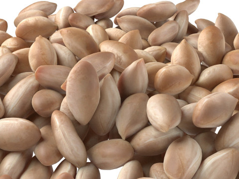 Peanut kernel white pile Modelo 3D