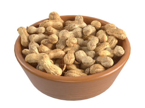 Peanut whole bowl 3D मॉडल