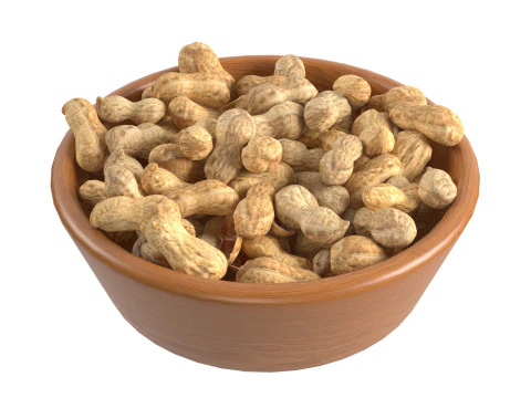 Tigela inteira de amendoim Modelo 3D