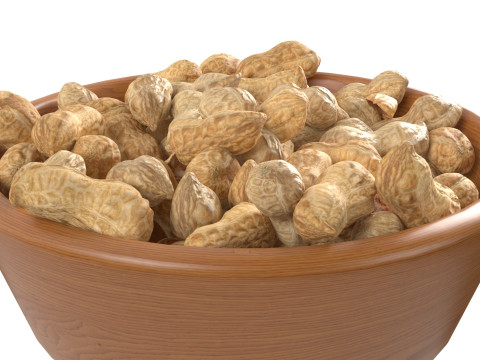 Peanut whole bowl 3D 모델