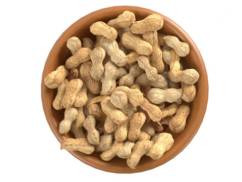 Tigela inteira de amendoim Modelo 3D